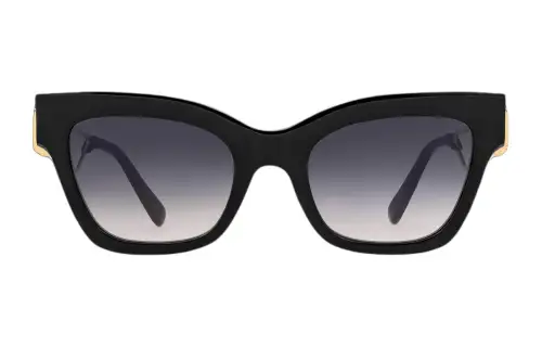 LOUIS VUITTON Oval Sunglasses Women's Black