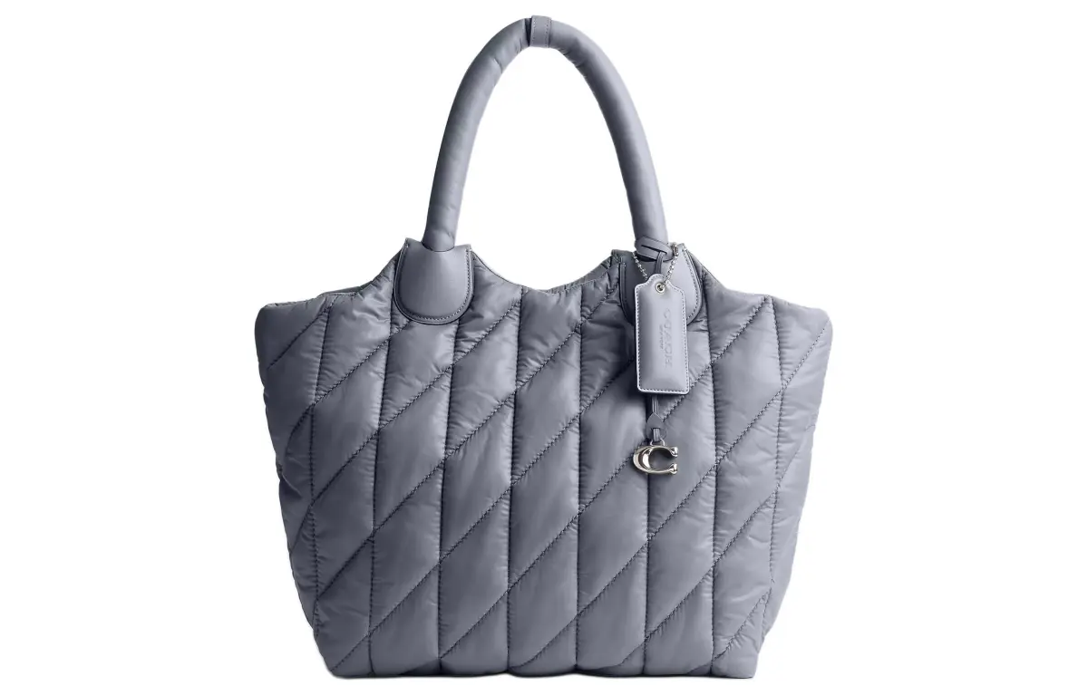 COACH Nylon With Leather Tote Bag, Shopping Bag, Handbag Large Women's Silver & Slate Blue