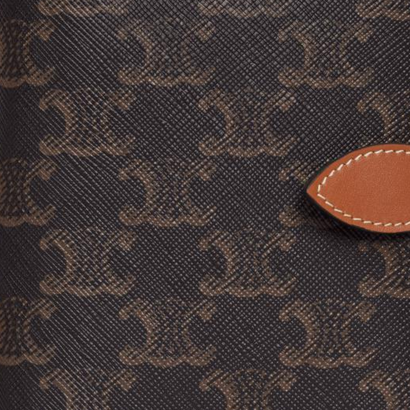 Мужская сумка CELINE Triomphe Logo (коричневая) — фото 8