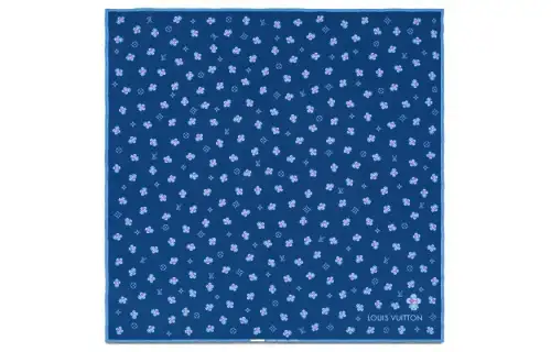 LOUIS VUITTON Scarves Unisex Blue