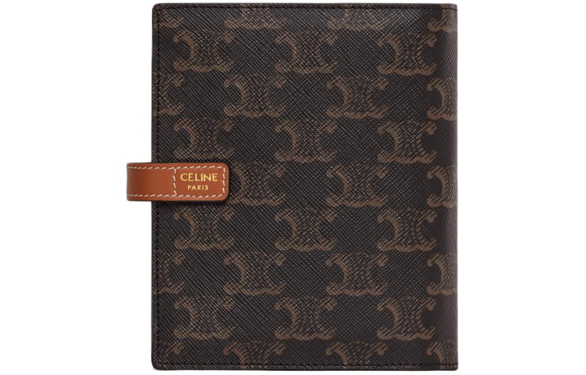 Мужская сумка CELINE Triomphe Logo (коричневая) — фото 3