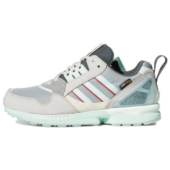 Adidas ZX 9000 National Park Foundation Glacier