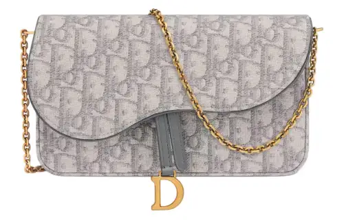 DIOR Saddle Oblique Print Fabric Clutch Women's Gray