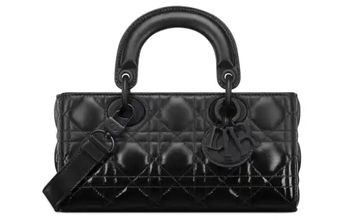 DIOR Lady D Joy Handbags