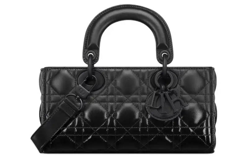 DIOR Lady D Joy Handbags