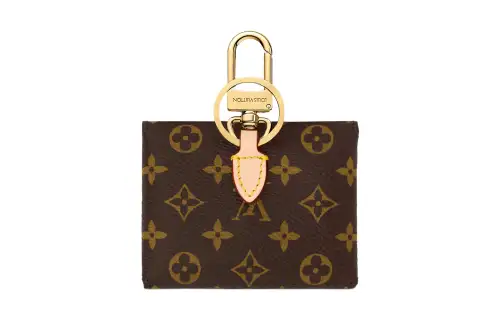 LOUIS VUITTON Leather Earphone Case Women's Brown