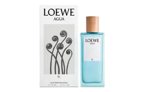 LOEWE Homme
