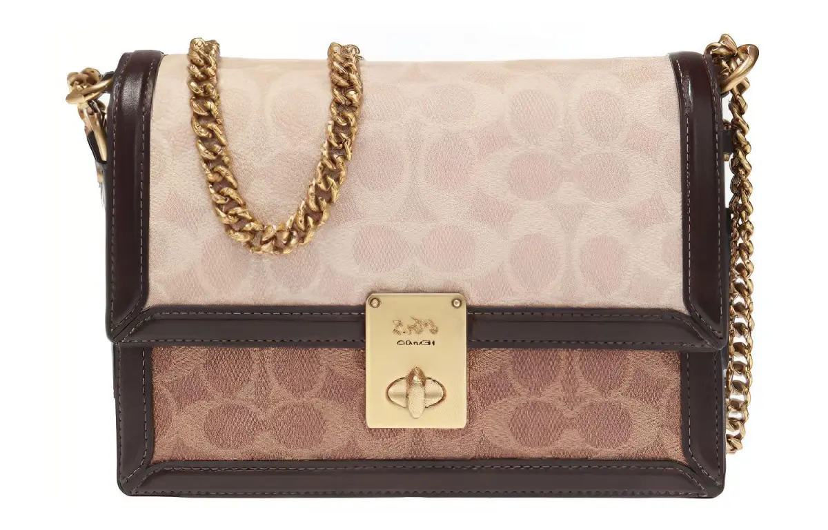 COACH Hutton Leather Crossbody Bags Small Women's Brown Black Multicolor