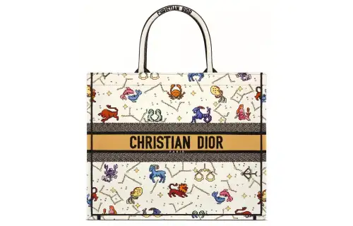 DIOR BookTote Embroidery Tote Bag, Shopping Bag, Handbag Women's White