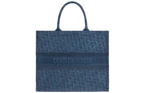 DIOR BookTote Nylon Fabric Tote Bag, Shopping Bag, Handbag Large Women's Blue