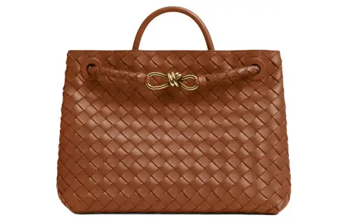 Bottega Veneta Andiamo Lambskin Shoulder Bag, Crossbody Bag, Handbag Medium Women's Brown