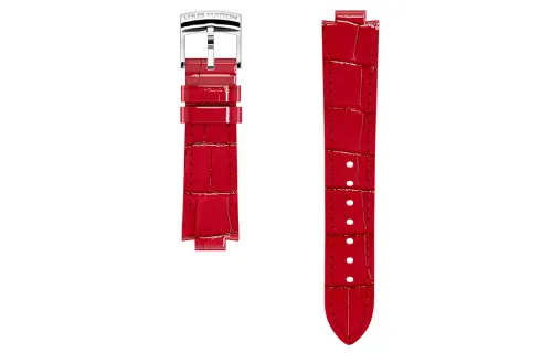 LOUIS VUITTON Strap All, Compatibility Stainless Steel Material