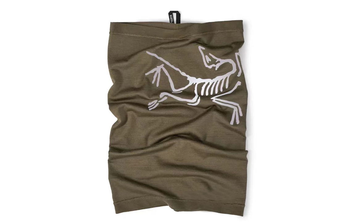 Arcteryx Logo
