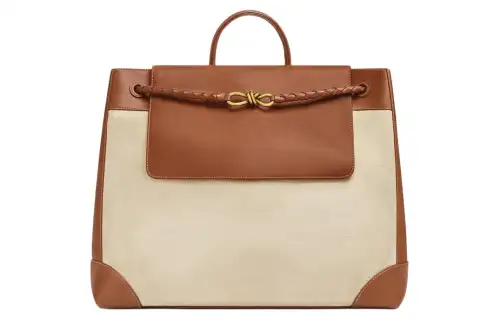 Bottega Veneta Andiamo Handbags