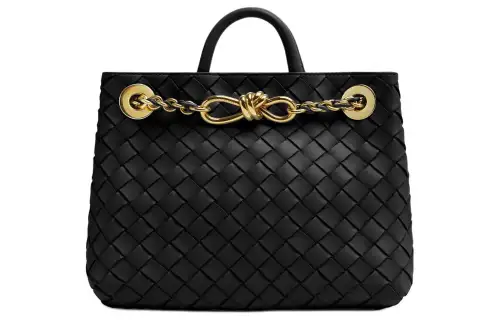 Bottega Veneta Andiamo Small Tote Bag