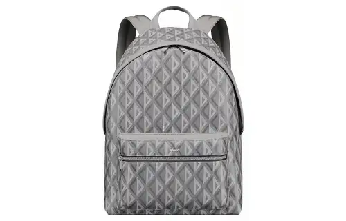 DIOR Canvas With Leather Backpack Regular Men's Gray