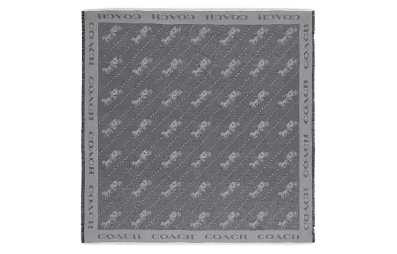 COACH Knit Scarves Women's Gray