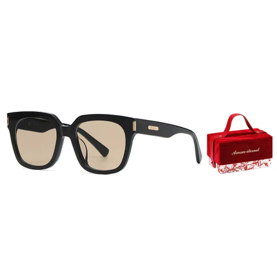 Prsr Plate Frame Square Sunglasses Unisex