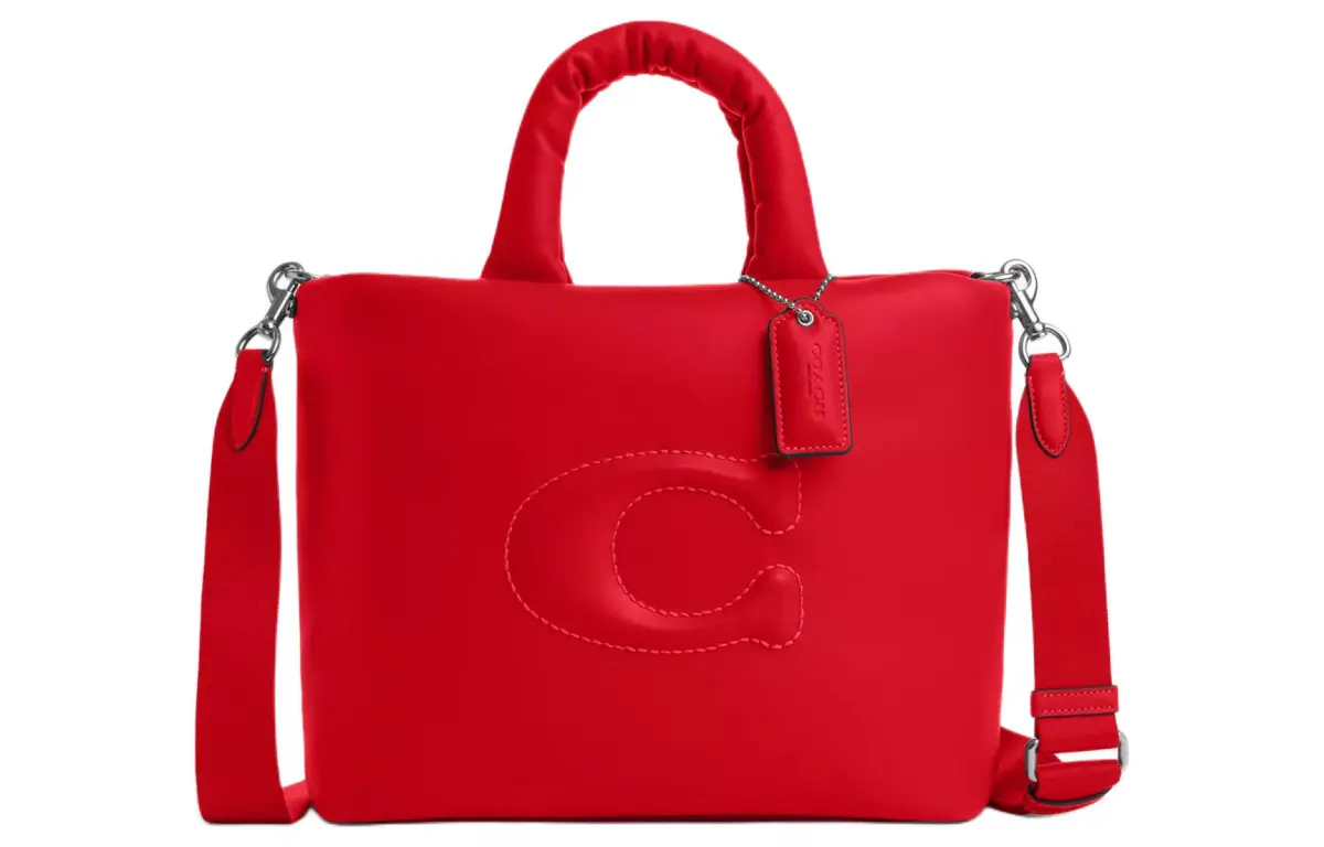COACH Pillow Handbags
