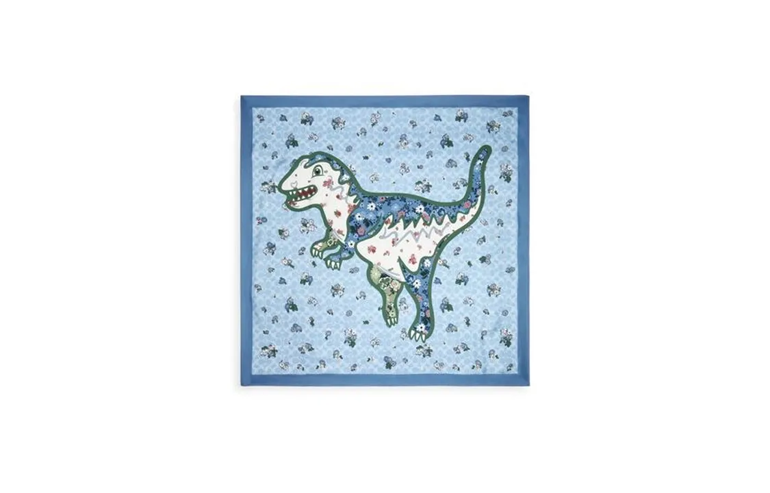 COACH Scarves Unisex