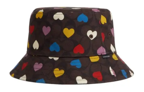 COACH Cotton, Polyester Bucket Hats Women's Brown