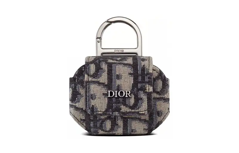 DIOR Earphone Cases