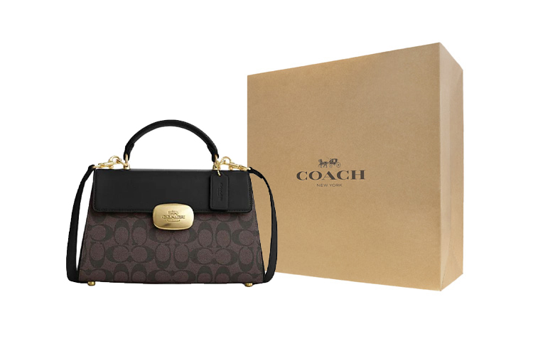 Женская сумка COACH Eliza 27 (коричнево-черная)