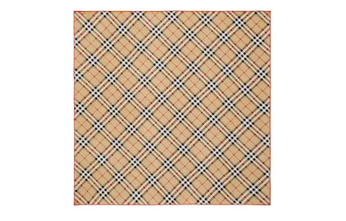 Burberry Silk Scarves Unisex Brown