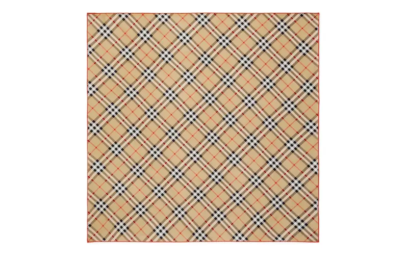 Burberry Silk Scarves Unisex Brown