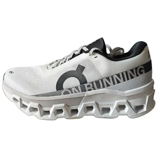 On Running CloudmOnster 2 Undyed Frost