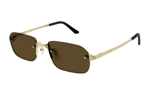 Cartier Rectangular Frame Sunglasses
