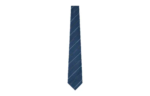 LOUIS VUITTON Diagonal Ties Unisex Blue