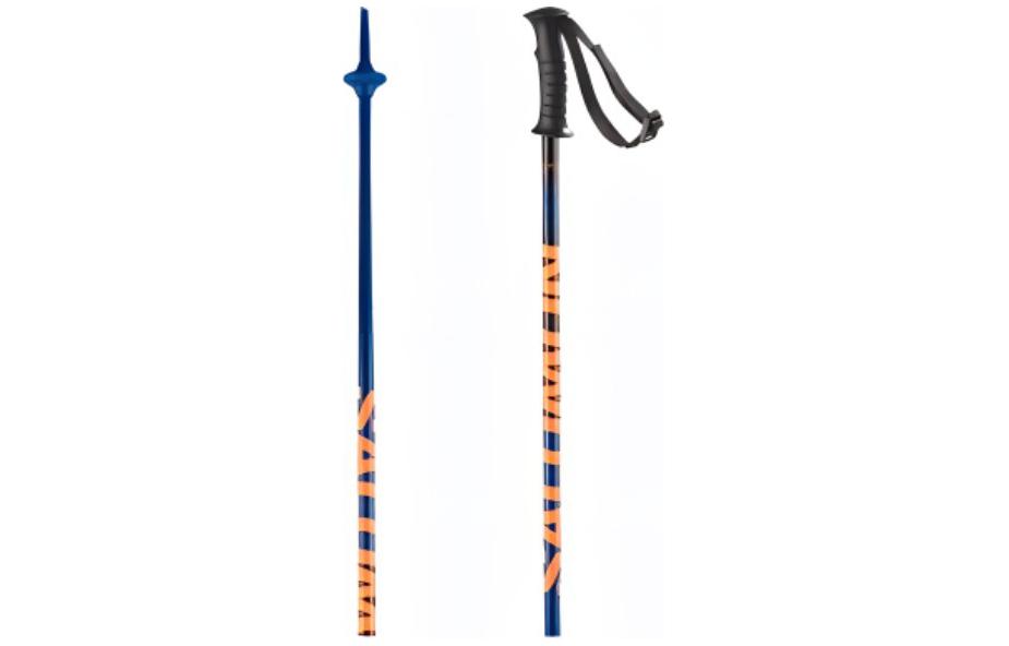 SALOMON Ski Poles