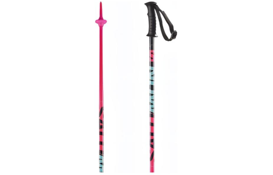 SALOMON Ski Poles