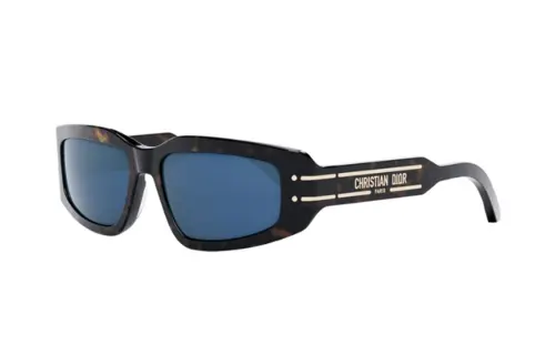 DIOR Irregular Shape Sunglasses Unisex Brown