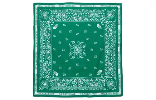 THE NORTH FACE Knit Scarves Unisex Green