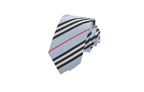 Burberry Ties Men's