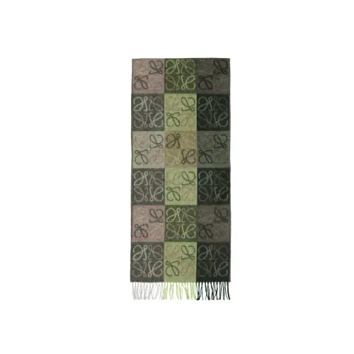 LOEWE Knit Scarves Women's Green
