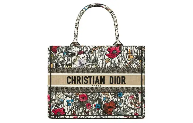 DIOR Canvas Bag, Shoulder Bag, Tote Bag, Shopping Bag, Handbag Small Women's Multicolor/Embroidery
