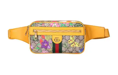 GUCCI Ophidia Fanny Packs
