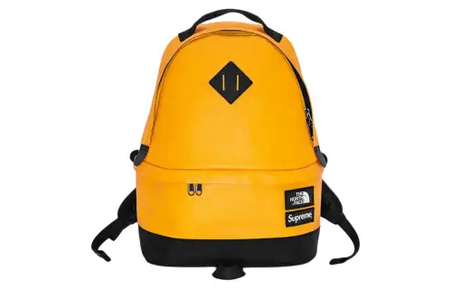 Supreme THE NORTH FACE Collaboration Leather Backpack Unisex Yellow