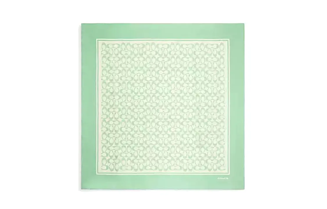 COACH Silk Scarves Unisex Green