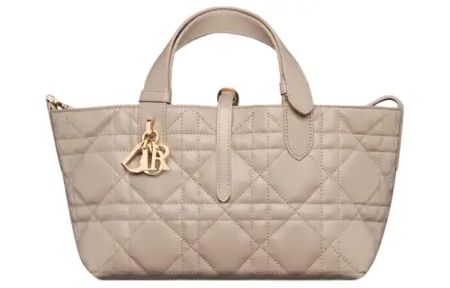 DIOR Toujours Wicker Pattern Cow Leather Native Bag, One Shoulder Handbag Small Women's Rouge Beige