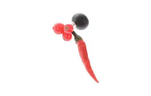Maison Margiela Earrings Women's Red