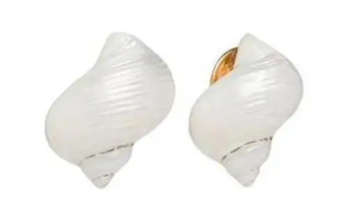 PRADA 925 Sterling Silver Earrings Women's White