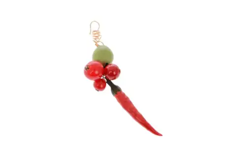 Maison Margiela Earrings Women's Red