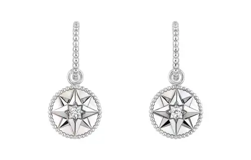 DIOR Earrings Unisex