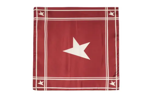 Golden Goose Logo-printed Silk Scarf