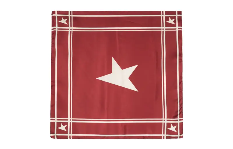 Golden Goose Logo-printed Silk Scarf