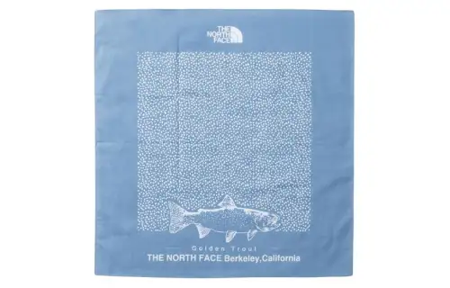 THE NORTH FACE Scarves Unisex Blue/Orange/Gray